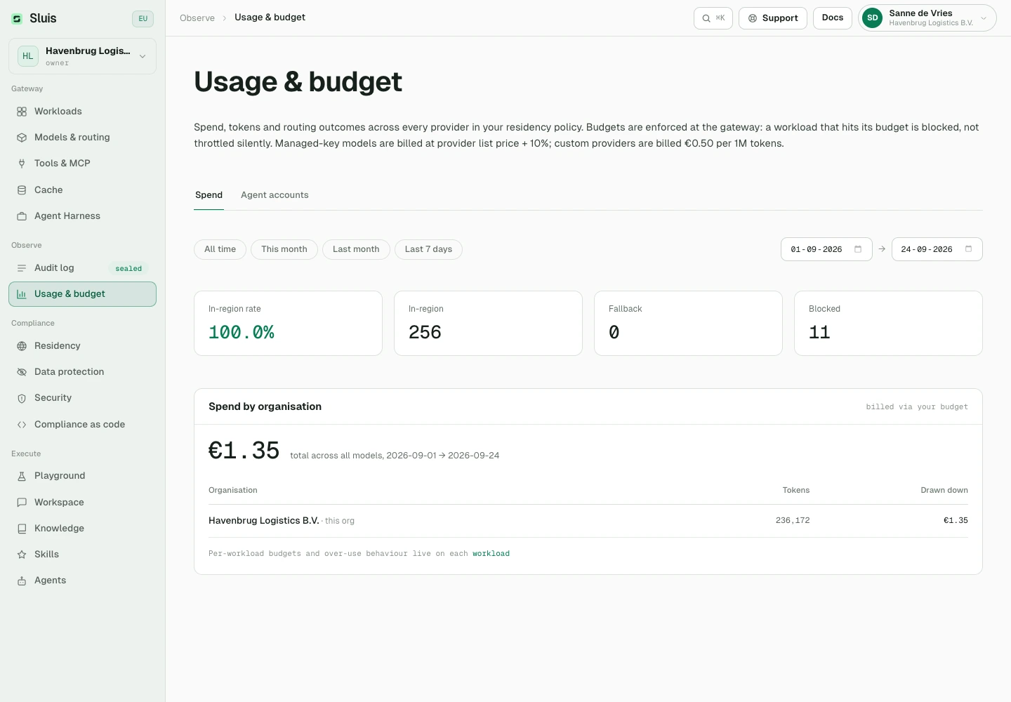 Het overzicht Verbruik & budget van de actieve organisatie in de console.